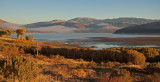 DSC_2476a.jpg