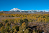DSC_2497ab.jpg