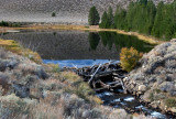 DSC_2546a.jpg