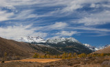 DSC_2557a.jpg