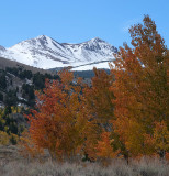 DSC_2592a.jpg