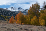 DSC_2646a.jpg
