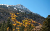 DSC_2666a.jpg