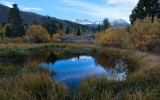 DSC_2902a.jpg
