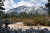 DSC_1808a.jpg