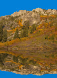 DSC_3041bC.jpg