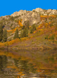 DSC_3041cC.jpg