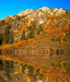 DSC_3041dC.jpg