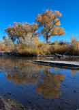 DSC_3394a.jpg