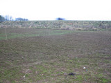 mid November 2009