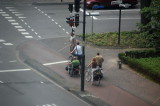 Waiting for the bicycle green light.