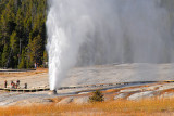 DSC_2289.jpg