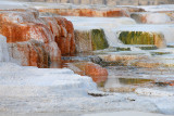 DSC_2672.jpg