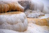 DSC_2762.jpg