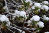 DSC_2844.jpg