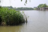 DSC_5561.jpg