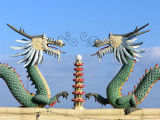 Dragons