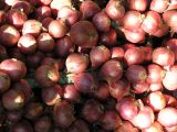 Onions