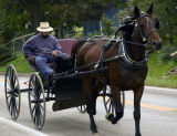 Amish Buggy Ride -