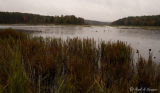 Fall in PA 2006.jpg