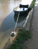 Tow Path, River Thames