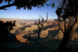 _MG_9672 Grand Canyon 8 Sunrise.jpg