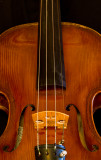 violin 19