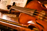 violin 34