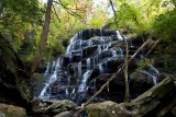 Yellow Branch Falls 1