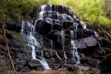 Yellow Branch Falls 2
