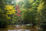Brasstown Falls 5