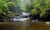 West Fork of the French Broad River