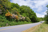 Blue Ridge Parkway 17