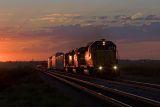 UP 3016 E at sunset