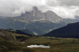 IMG_7556.jpg