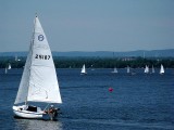 IMG_0681.jpg