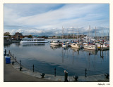 20091018_Victoria_0123.jpg