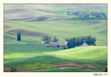 20080610_Palouse_0053.jpg