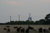 IMG_6284_1.jpg