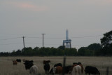 IMG_6289_1.jpg