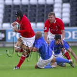 Wales v Italy8.jpg