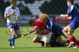 Wales v France6.jpg