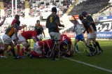 Wales v S.Africa10.jpg