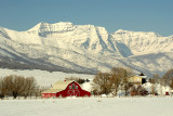 Red Barn and Mt. Timpanogos