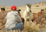 Zach Shooting the Mustangs.