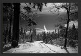IMG_4767.jpg