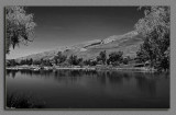 IMG_8981.jpg