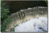 Deer Park 037.jpg