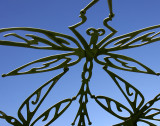Dragon Sky web.jpg