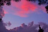Pink Skies....